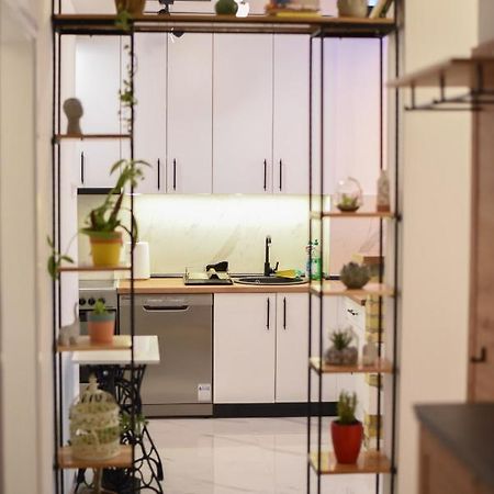 Garden Apartment - Oaza U Centru Grada Novi Sad Exteriér fotografie