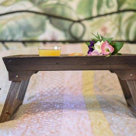 Garden Apartment - Oaza U Centru Grada Novi Sad Exteriér fotografie