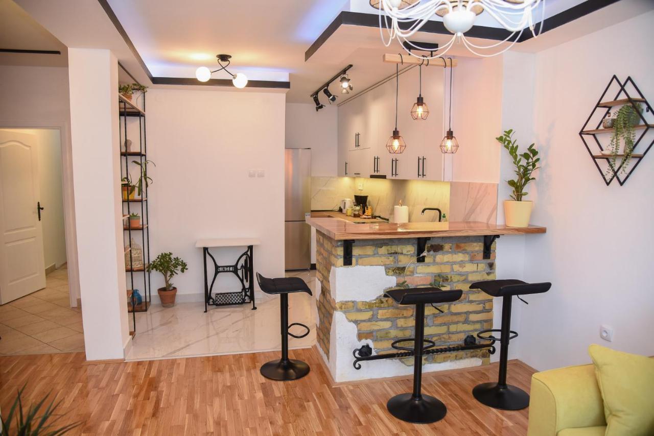 Garden Apartment - Oaza U Centru Grada Novi Sad Exteriér fotografie