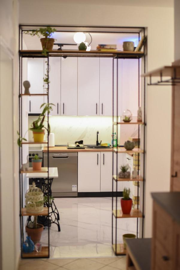 Garden Apartment - Oaza U Centru Grada Novi Sad Exteriér fotografie