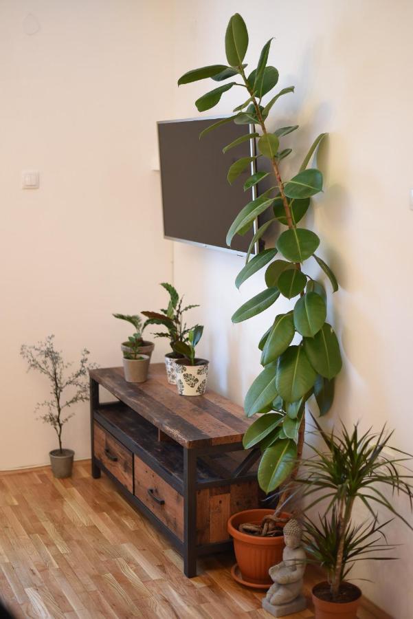 Garden Apartment - Oaza U Centru Grada Novi Sad Exteriér fotografie
