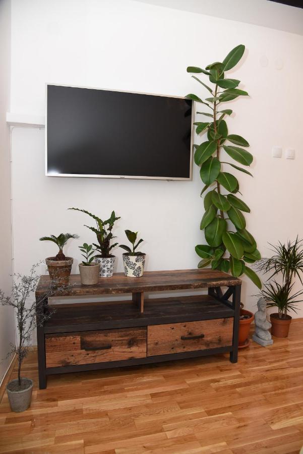 Garden Apartment - Oaza U Centru Grada Novi Sad Exteriér fotografie