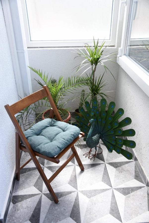 Garden Apartment - Oaza U Centru Grada Novi Sad Exteriér fotografie